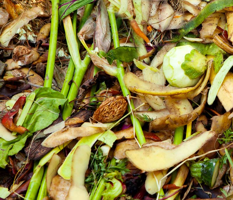 compost scraps