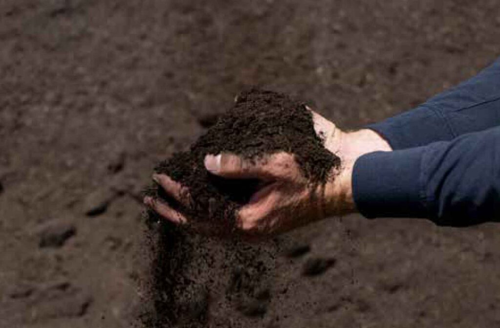 Hand holding rich dark soil over garden ground